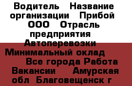 Водитель › Название организации ­ Прибой, ООО › Отрасль предприятия ­ Автоперевозки › Минимальный оклад ­ 19 000 - Все города Работа » Вакансии   . Амурская обл.,Благовещенск г.